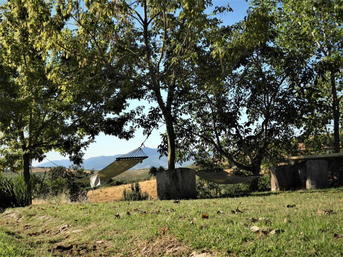 Вілла Quinta Da Alagoa Santa Maria de Emeres Екстер'єр фото