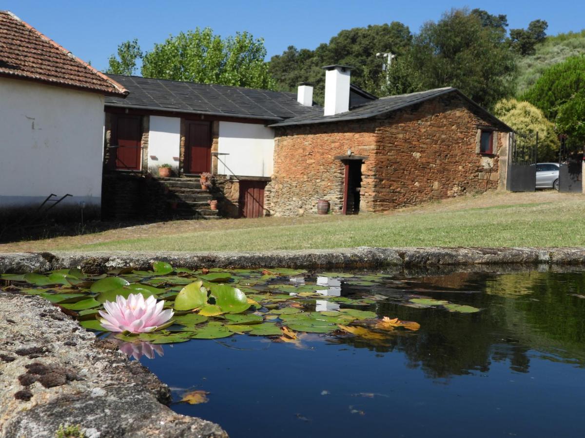 Вілла Quinta Da Alagoa Santa Maria de Emeres Екстер'єр фото
