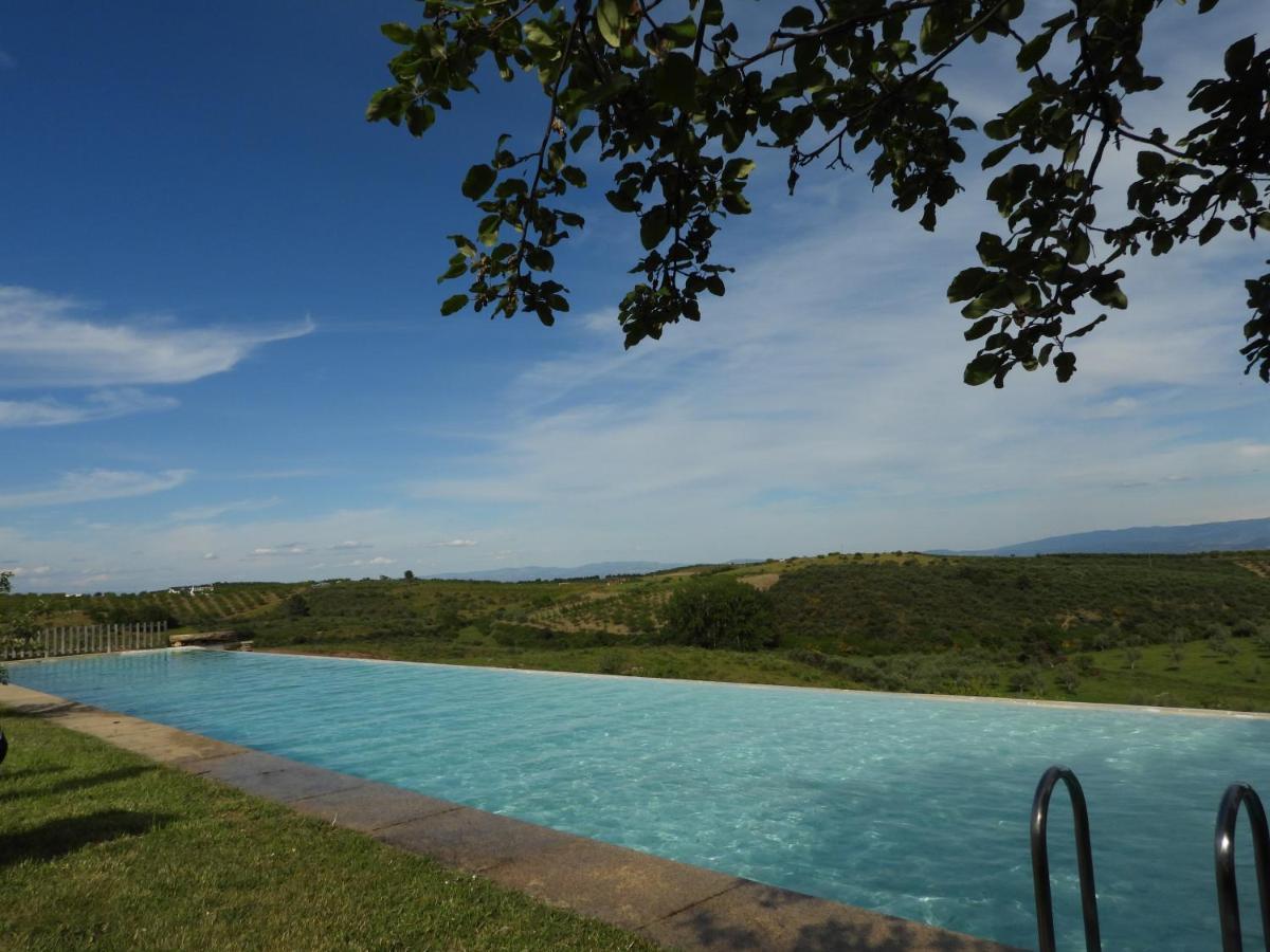 Вілла Quinta Da Alagoa Santa Maria de Emeres Екстер'єр фото