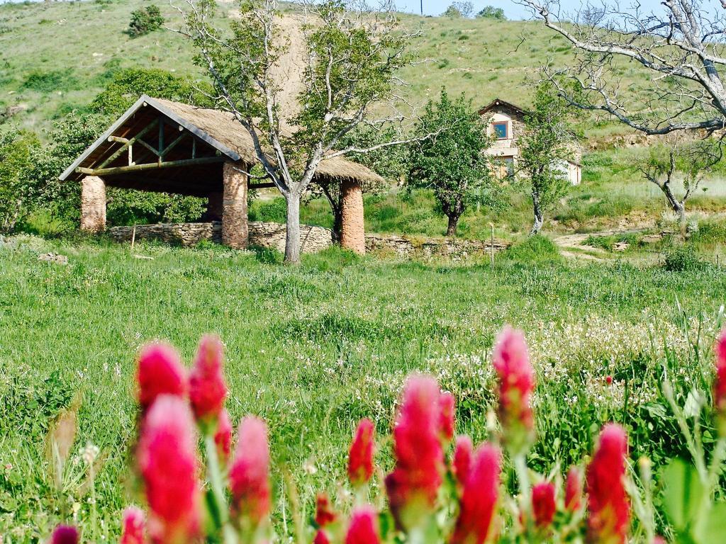Вілла Quinta Da Alagoa Santa Maria de Emeres Екстер'єр фото