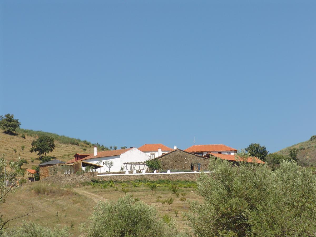 Вілла Quinta Da Alagoa Santa Maria de Emeres Екстер'єр фото
