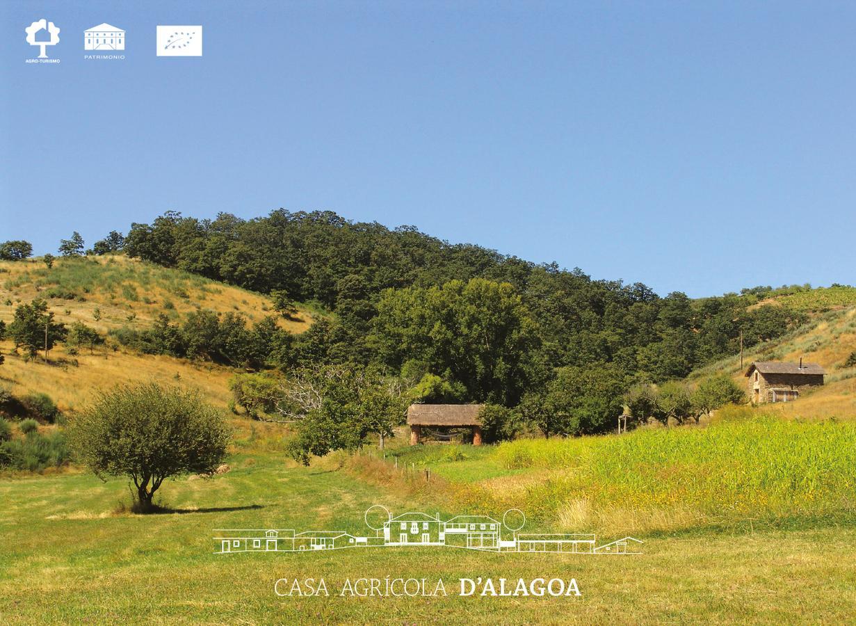 Вілла Quinta Da Alagoa Santa Maria de Emeres Екстер'єр фото