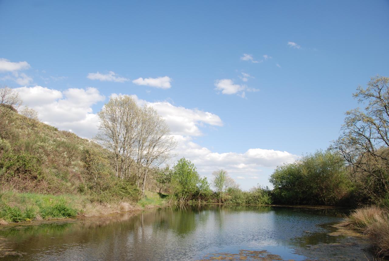 Вілла Quinta Da Alagoa Santa Maria de Emeres Екстер'єр фото