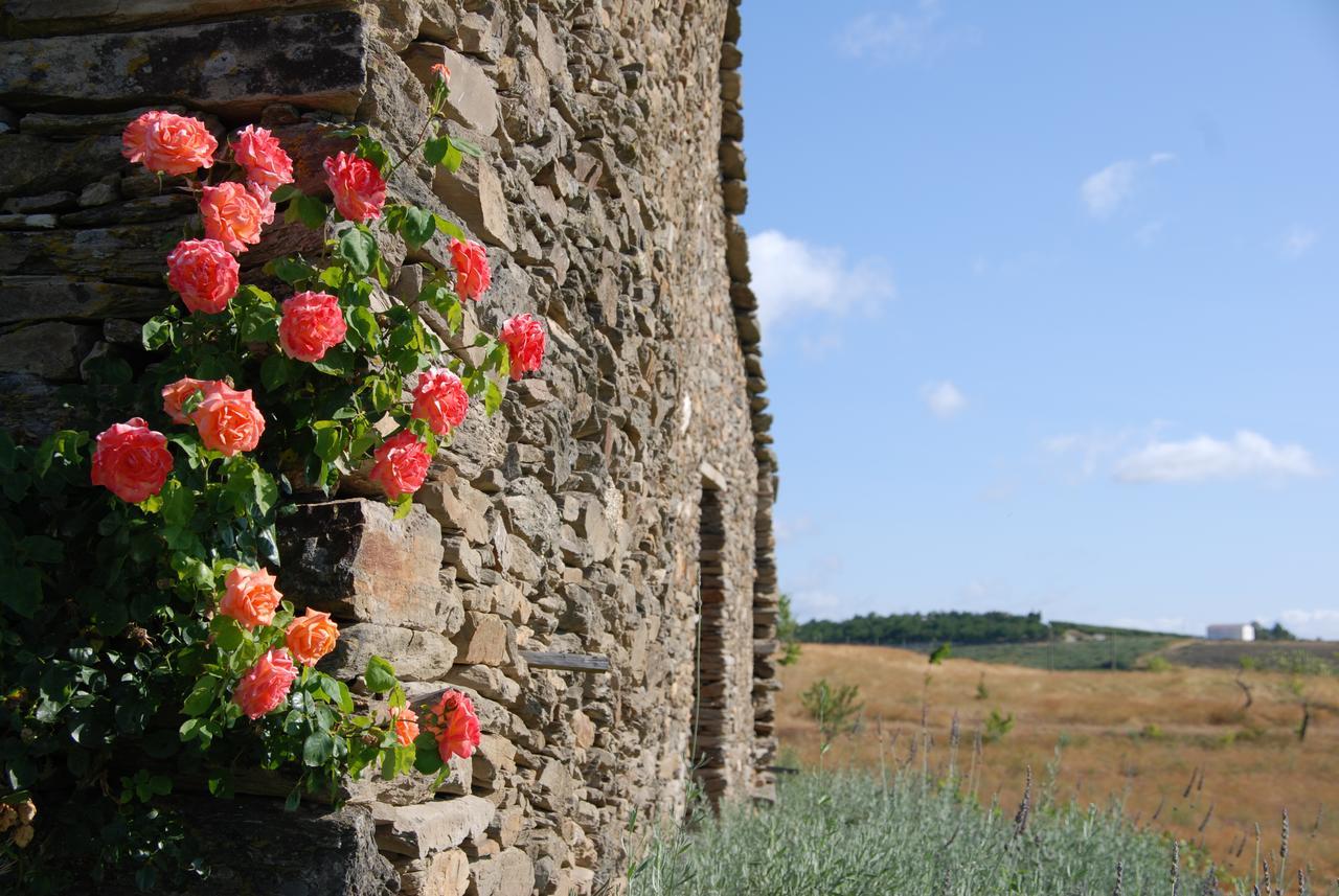 Вілла Quinta Da Alagoa Santa Maria de Emeres Екстер'єр фото